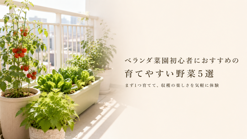 ベランダ菜園で育てやすい野菜5選｜初心者向け