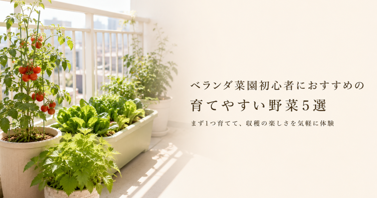 ベランダ菜園で育てやすい野菜5選｜初心者向け