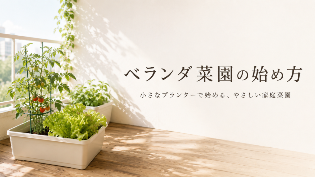 ベランダ菜園の初期費用まとめ｜予算別の揃え方を解説