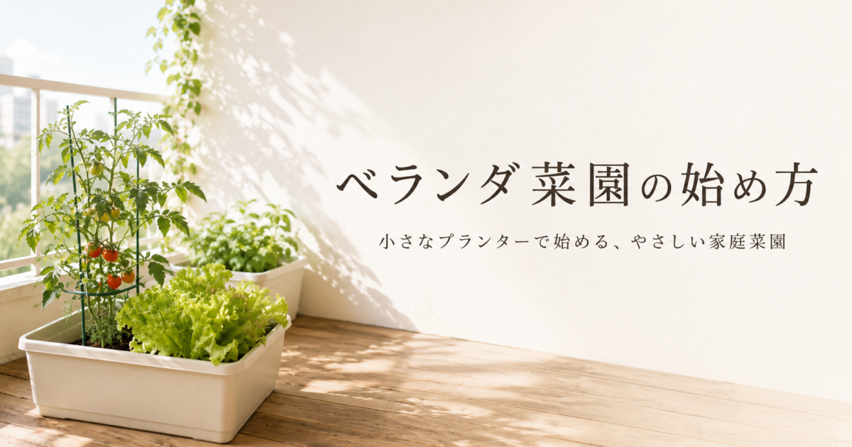 ベランダ菜園の初期費用まとめ｜予算別の揃え方を解説