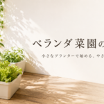 ベランダ菜園の初期費用まとめ｜予算別の揃え方を解説
