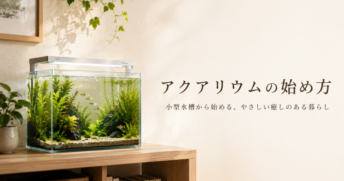 アクアリウムの始め方【初心者向け費用と道具】