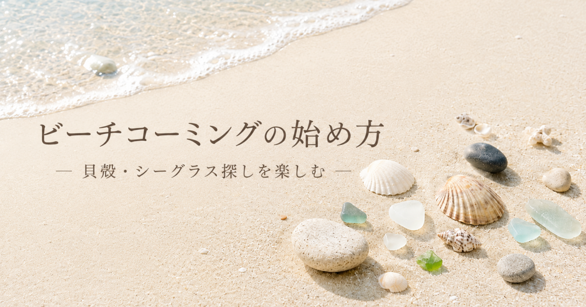 ビーチコーミングとは？初心者向けの楽しみ方・道具・始め方