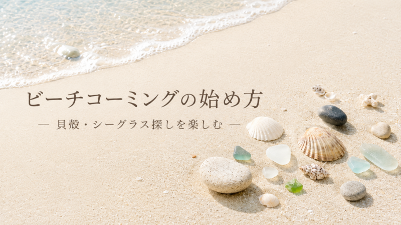 ビーチコーミングとは？初心者向けの楽しみ方・道具・始め方