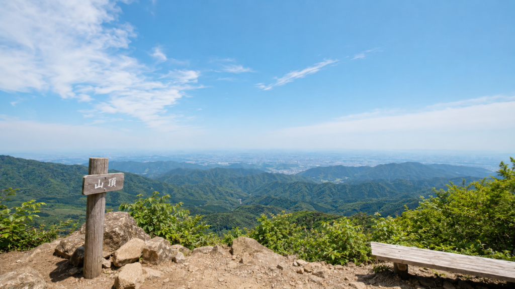 低山からの景色